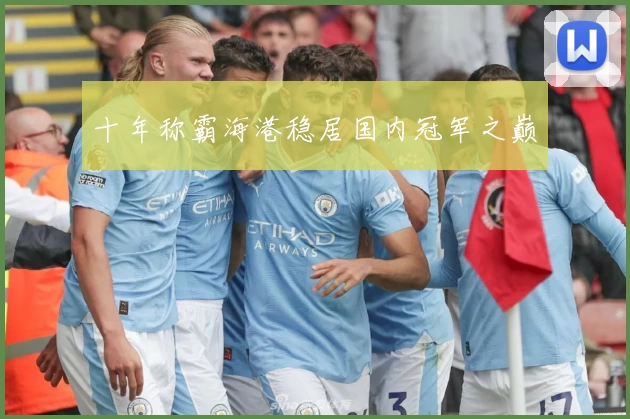 十年称霸海港稳居国内冠军之巅