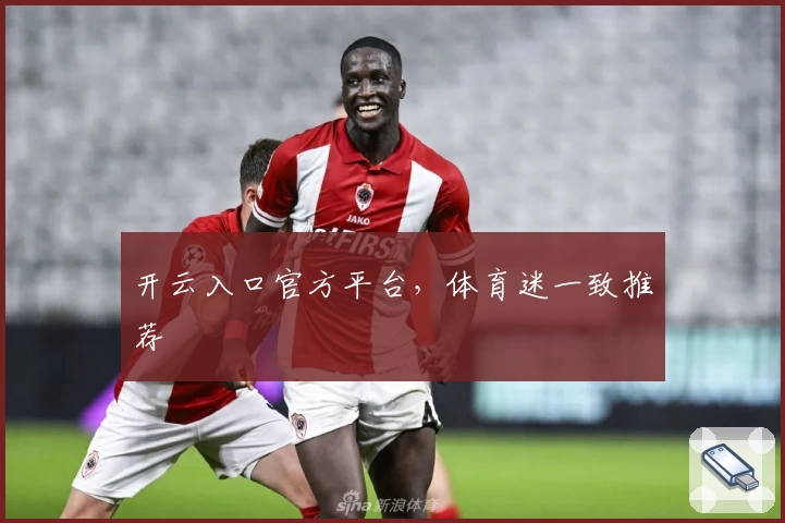 开云入口官方平台,体育迷一致推荐