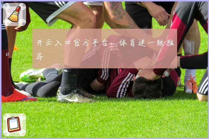 开云入口官方平台，体育迷一致推荐